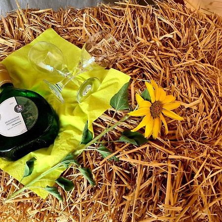 Schlaffass Mit Wellness In Alter Scheune Seinsheim Luaran gambar